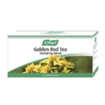 Golden Rod Tea Bags