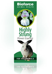 Highly Strung Essence 