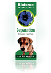Seperation Essence
