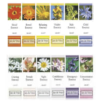 Flower Essence Guide