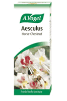 Aesculus