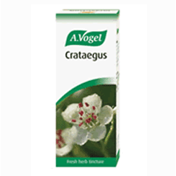 Crataegus