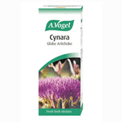 Cynara