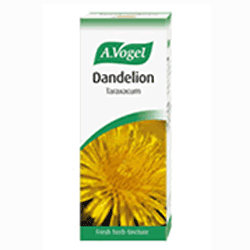 Dandelion