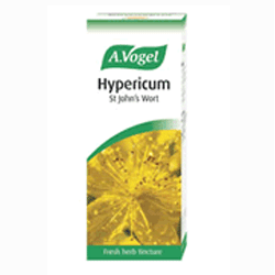 Hypericum