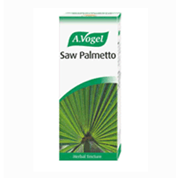 Saw Plametto