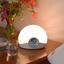Lumie BodyClock Starter 30